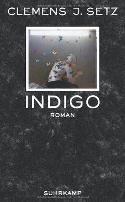 Indigo: Roman (suhrkamp taschenbuch)