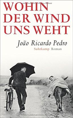 Wohin der Wind uns weht: Roman (suhrkamp taschenbuch)