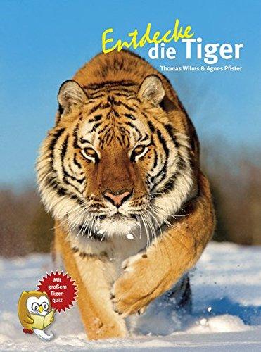 Entdecke die Tiger (Entdecke - Die Reihe mit der Eule / Kindersachbuchreihe)