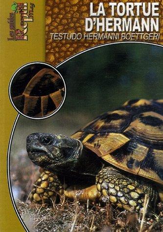 La tortue d'Hermann orientale : Testudo hermanni boettgeri