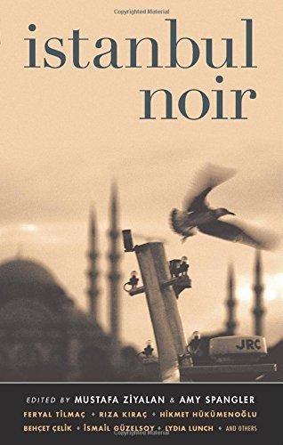 Istanbul Noir (Akashic Noir)