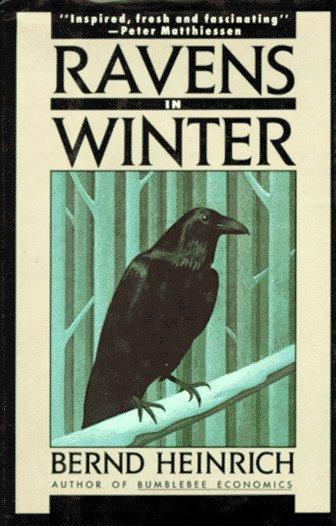 Ravens in Winter (Vintage)