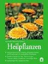 Heilpflanzen: Selbstbehandlung der häufigsten Alltagsbeschwerden und Erkrankungen mit ausgewählten Heilpflanzen. Bewährte Rezepte für Tees, ... Salben, Inhalationen, Umschläge, Bäder