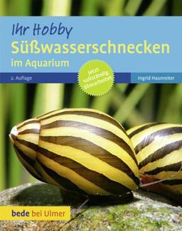 Süßwasserschnecken im Aquarium