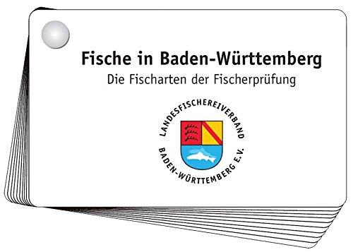 Aal bis Zander - Fischkartenset: Fische in Baden-Württemberg - die Fischarten der Fischerprüfung