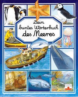 Dein buntes Wörterbuch des Meeres