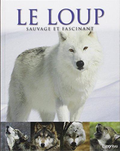 Le loup : sauvage et fascinant