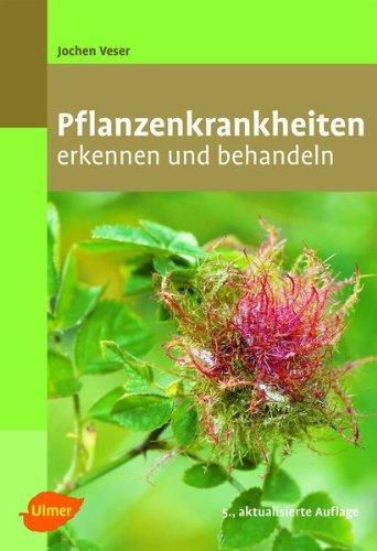 Pflanzenkrankheiten: Erkennen und behandeln