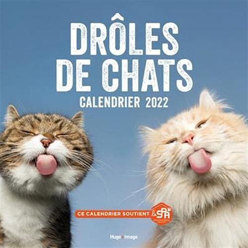 Drôles de chats : calendrier 2022