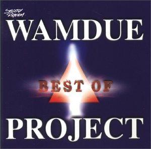 Best of Wamdue Project