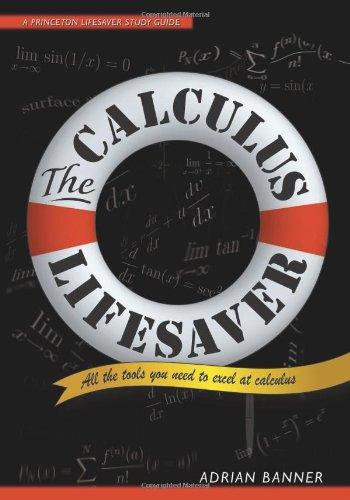 Calculus Lifesaver: All the Tools You Need to Excel at Calculus (Princeton Lifesaver Study Guide)