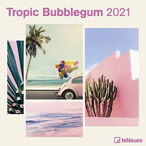 Tropic Bubblegum 2021 - Wand-Kalender - Broschüren-Kalender - 30x30 - 30x60 geöffnet