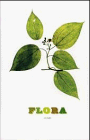 Flora