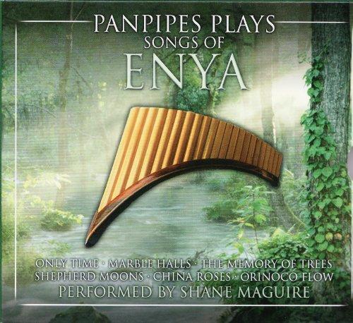 Panpipes plays songs of Enya