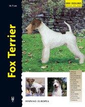 Fox terrier (Excellence)