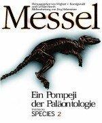 Messel, Ein Pompeji der Paläontologie