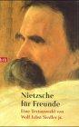 Nietzsche für Freunde