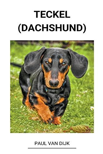 Teckel (dachshund)