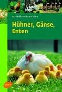 Hühner, Gänse, Enten