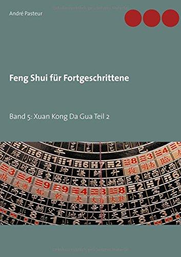 Feng Shui für Fortgeschrittene: Band 5: Xuan Kong Da Gua Teil 2