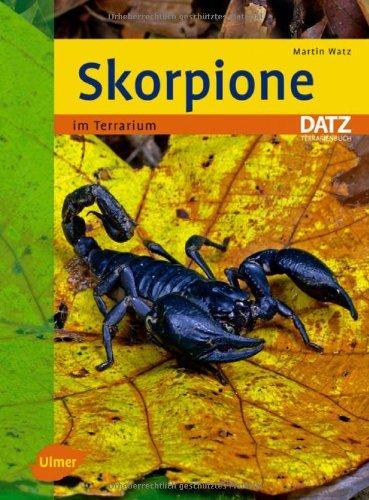 Skorpione im Terrarium -