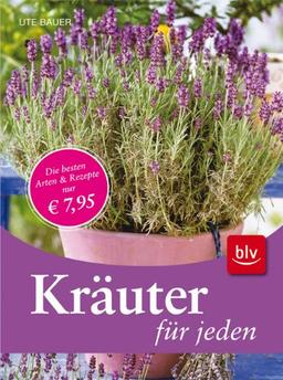 Kräuter für jeden: Die besten Arten & Rezepte