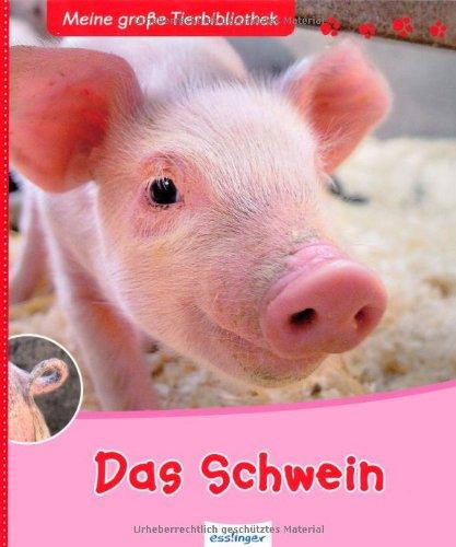 Das Schwein