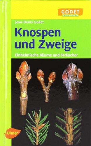 Knospen und Zweige - Einheimische Bäume und Sträucher