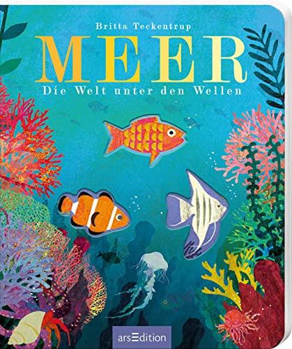 Meer: Die Welt unter den Wellen | Gereimtes Natur-Bilderbuch, mit Gucklöchern, hochwertig ausgestattet, für Kinder ab 3 Jahren