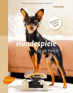 Hundespiele für zu Hause: Denksport, Tricks und Spiele