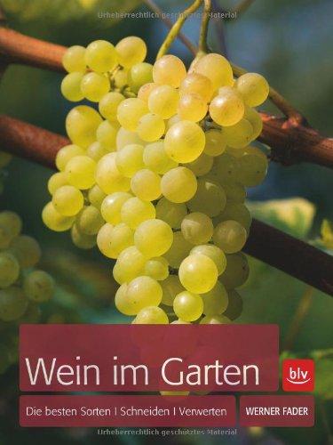 Wein im Garten: Die besten Sorten · Schneiden · Verwerten