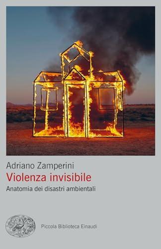 Violenza invisibile. Anatomia dei disastri ambientali (Piccola biblioteca Einaudi. Big)