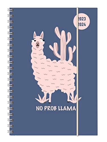 Collegetimer Llama 2023/2024 - Schüler-Kalender A5 (15x21 cm) - Lama - Ringbindung - Weekly - 224 Seiten - Terminplaner - Alpha Edition (Collegetimer A5 Ringbuch)