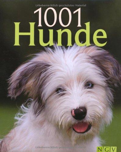 1001 Hunde