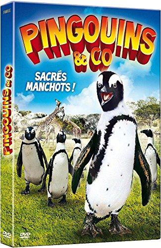 Pingouins et compagnies - hannah and the penguin [FR Import]