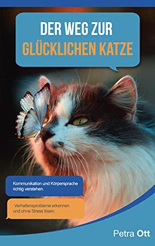 Der Weg zur glücklichen Katze: Probleme erkennen und lösen