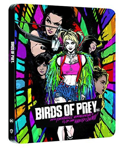 Birds of prey et la fantabuleuse histoire de harley quinn 4k ultra hd [Blu-ray] [FR Import]