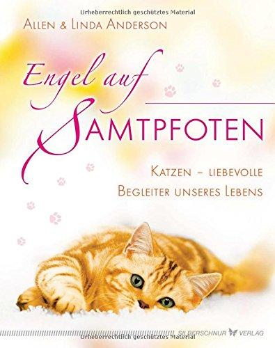 Engel auf Samtpfoten: Katzen - liebevolle Begleiter unseres Lebens