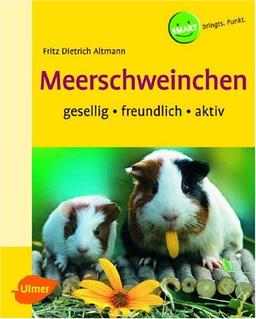 Meerschweinchen. Gesellig - freundlich - aktiv