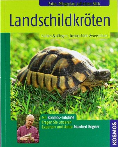 Landschildkröten: halten & pflegen, beobachten & verstehen