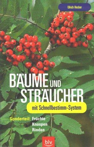 Bäume und Sträucher