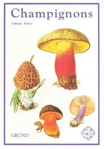 Champignons