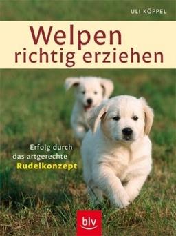 Welpen richtig erziehen: Erfolg durch das artgerechte Rudelkonzept