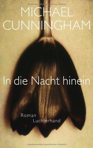 In die Nacht hinein: Roman