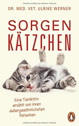 Sorgenkätzchen: Eine Tierärztin erzählt von ihren außergewöhnlichsten Patienten