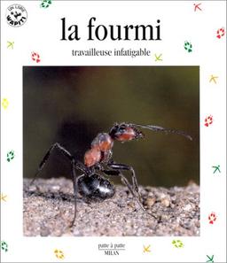 La fourmi : travailleuse infatigable