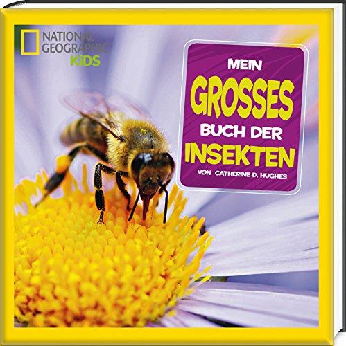 Mein großes Buch der Insekten