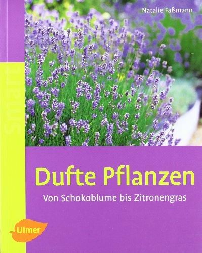 Dufte Pflanzen: Von Schokoblume bis Zitronengras