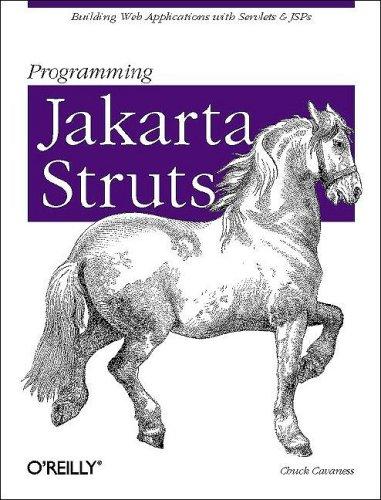 Programming Jakarta Struts (Classique Us)