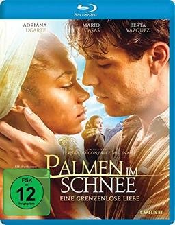 Palmen im Schnee - Eine grenzenlose Liebe [Blu-ray]